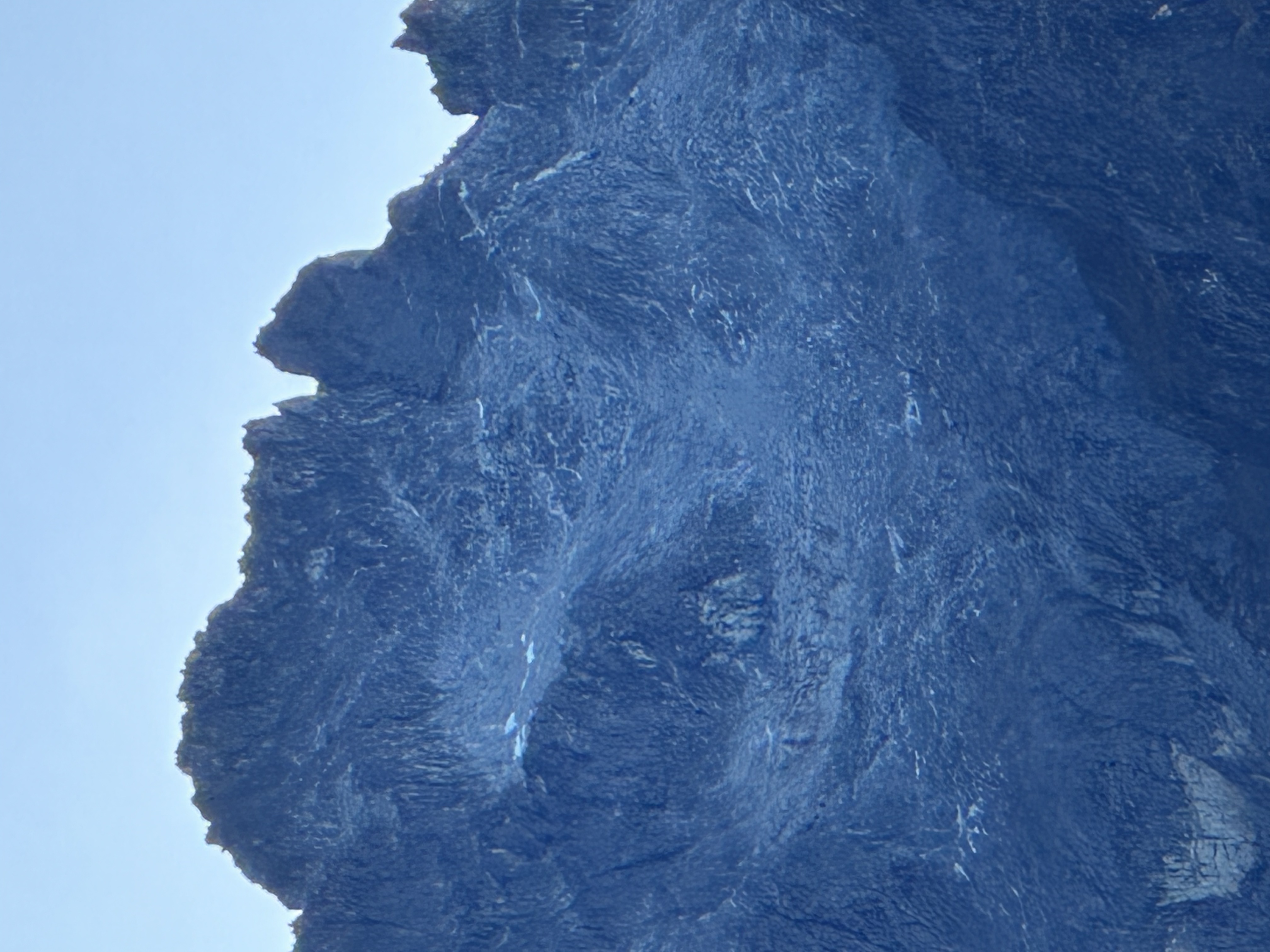 pico-bol-var-andeshandbook